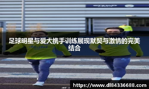 足球明星与爱犬携手训练展现默契与激情的完美结合